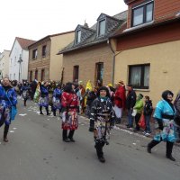 Umzug 2013