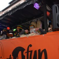 Umzug 2018